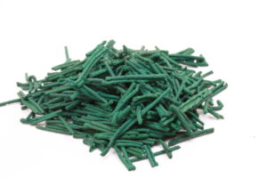 Spiruline